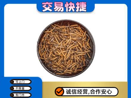 新乡市卫滨高价回收散虫草